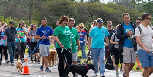 2022 Paws in the Park contestants walking dogs
